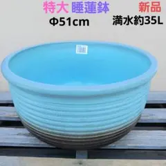 新品 ∅51 特大 陶器 睡蓮鉢 手造り メダカ鉢 難有 ラピスブルー LDB①