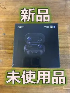 FiiO ワイヤレスイヤホン　　FIO-FW1-B FW1 ブラックのサムネイル