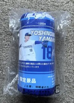 山本由伸 サイン入りクッション MLB PLAYERS GIGO限定 WBC - メルカリ
