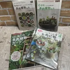 2026年最新】サボテン相談室の人気アイテム - メルカリ