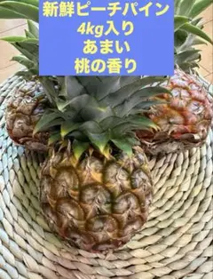 【注文後収穫】石垣島ピーチパイン16玉（送料込み） 石垣島産大玉ピーチパイン – i-shop石垣