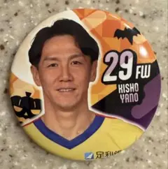 栃木SC 2025 ハロウィン缶バッジ NO.29矢野選手