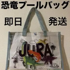 新品　恐竜　プールバッグ　ビニールバッグ　プールバッグ 男の子　透明
