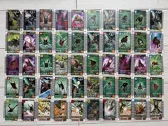 ムシキング65枚/昆虫トレーディングカードセット