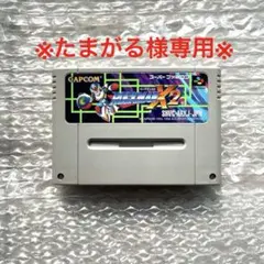 たまがる様 リクエスト 2点 まとめ商品