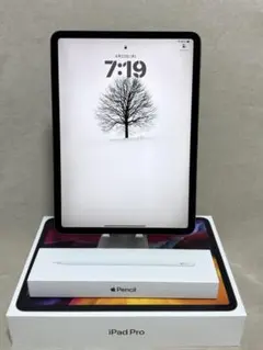 2026年最新】IPAD pro 11 第2世代 ジャンクの人気アイテム - メルカリ