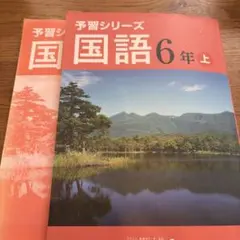 2026年最新】予習シリーズ 6年の人気アイテム - メルカリ