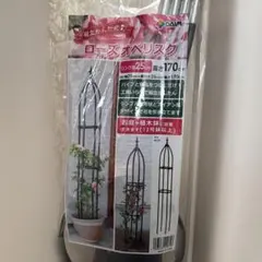 Item thumbnail for item 8324c724-0444-4fad-83e1-c178e1259691