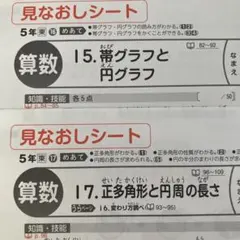 カラーテスト　小学5年　算数　東京書籍　新学社のサムネイル