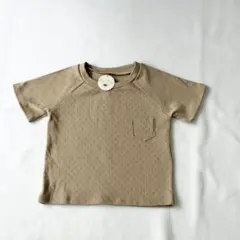 petite evelinaapparel シャツ トップス