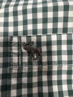 Abercrombie & Fitch ギンガムチェックシャツ S