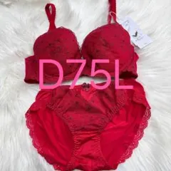 トリンプ ブラ＆ショーツセット パッド付き レッド D75L