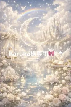 haruka様専用