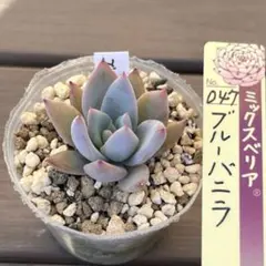 なの様 リクエスト 2点 まとめ商品