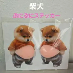 柴犬 ✨ぷにぷにステッカー✨２枚セット