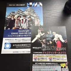 Novelbright ライブツアー チラシ 2枚セット