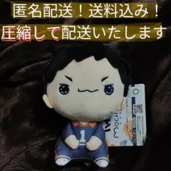 【匿名配送】タグ付き　ハイキュー!!　もちぴこぬいぐるみ⑤　澤村大地
