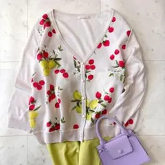 訳あり♪ ローズティアラ 洗える 大きいサイズ46 フルーツプリントカーディガン