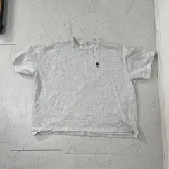 Item thumbnail for item f49c7b79-89e8-435e-8621-4491a896f99e