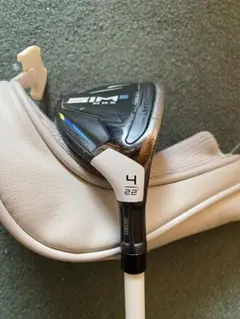 Item thumbnail for item 2f011aee-4bd1-4ed8-8b9a-314cf49d5062