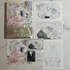 花秘める君のメテオール 展 クリアファイル 3枚 花メテ ポップアップ
