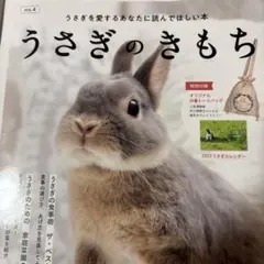 うさぎのきもち