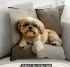 Item thumbnail for item f7731d81-627b-4111-af4a-150523d9cd06