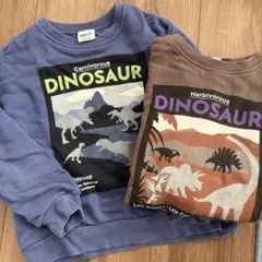 【110cm】BREEZE福井恐竜博物館コラボトレーナー2点セット