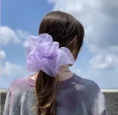 オーガンジー シースルー シアー ビッグシュシュ 女優風 インスタ人気 ヘアゴム