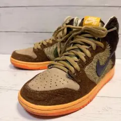 NIKE SB DUNK HIGH PRO DC6887-200Concepts