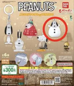 PEANUTS めじるしアクセサリー スヌーピー