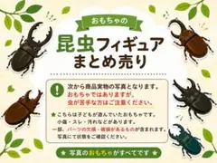 昆虫フィギュア まとめ売り カブトムシ クワガタのサムネイル