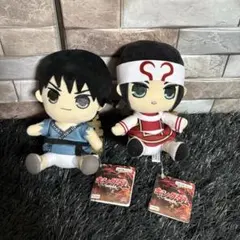 ✨ キングダム ✨ きゅるまる ぬいぐるみ 信 羌瘣 タグ付 セット