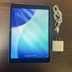 iPad 第9世代 cellular 64GB シルバー 充電器・ケーブル