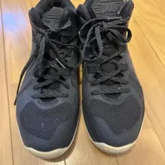 Item thumbnail for item e1ef7e65-37a8-48bf-8609-16660f056df9