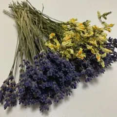 タンジー⑥ ドライフラワー 30本 A5サイズ リース，スワッグ花材
