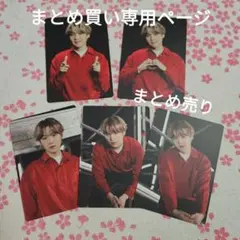 マンソン様 リクエスト 2点 まとめ商品