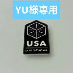 2025年最新】アメリカパビリオンピンバッジの人気アイテム - メルカリ