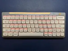 Nics Hesper64(100) Dual-Action フルセット