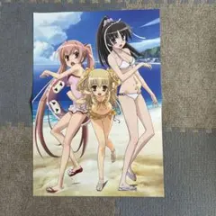 22/7 ホロモデル(水着衣装) ソロブロマイド 斉藤ニコル ナナニジ 河瀬