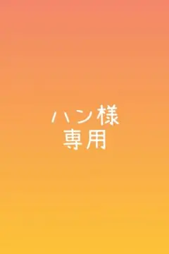 ハン様専用（100〜）