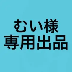 専用出品