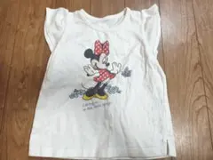 インセクトコレクション★ミニーマウス Tシャツ ホワイト