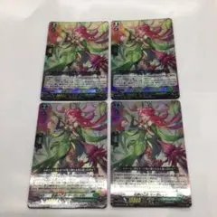 ヴァンガード　恋縛の乙女　マーガレット　4枚セット