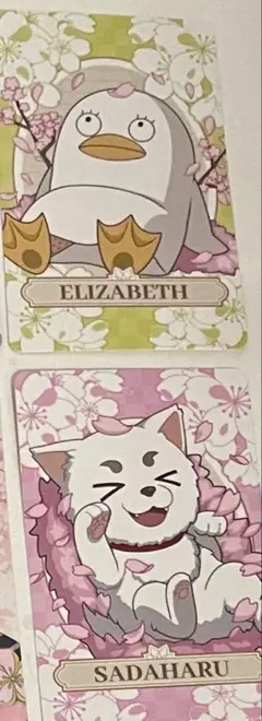 銀魂日和　銀魂　HANA・BIYORI 特典　イラストカード　エリザベス　定春