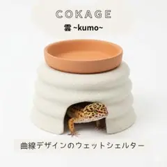 小型爬虫類シェルター ハンドメイド 本日20時にメルカリで新作公開します！ 横向きタイプのシェルターやお