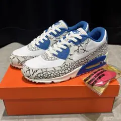 05年製 NIKE × HUF AIR MAX 90 US11/29cm