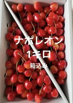 ネクタリン 早生種 ストレンジ 希少品種 3キロクール便 - メルカリ