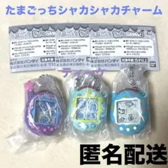 たまごっち　シャカシャカチャームコレクション　３つセット　ガチャ
