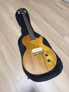 2025年最新】epiphone 57 reissueの人気アイテム - メルカリ